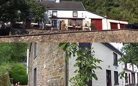 B&B De Notelaar